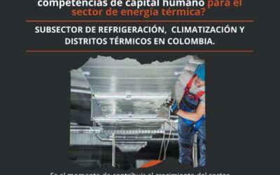 Estudio de brechas de capital humano para el sector de energía térmica.