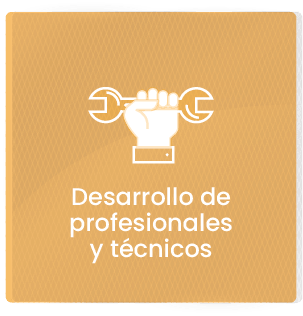 Desarrollo de profesionales y técnicos